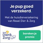 je pup goed verzekerd