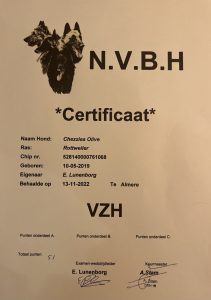 Certificaat VZH