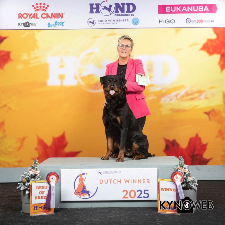 BEST_OF_BREED_515_LR_DUTCHWINNER_2025_KYNOWEB_AJ7I0823_20250705_18_45_07
