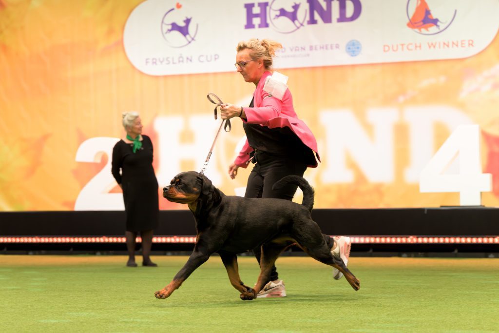 Winner_Show_2025_0645 Cinzy vom Haus Zschammer Winster 2025